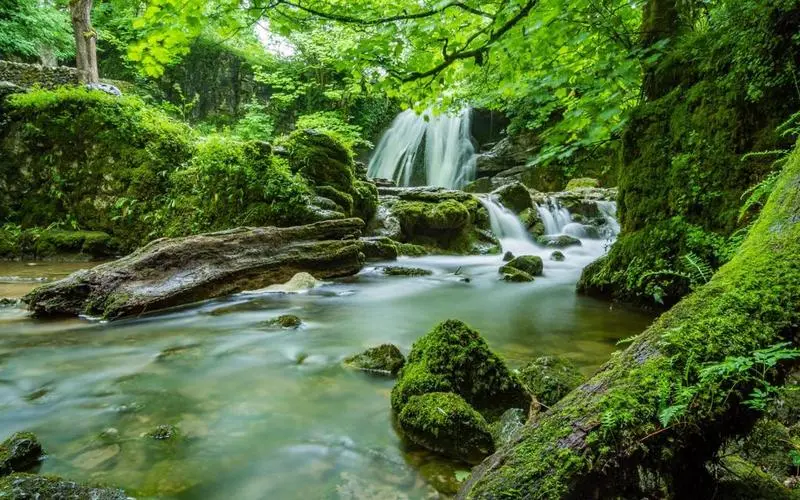 高质量科技智慧